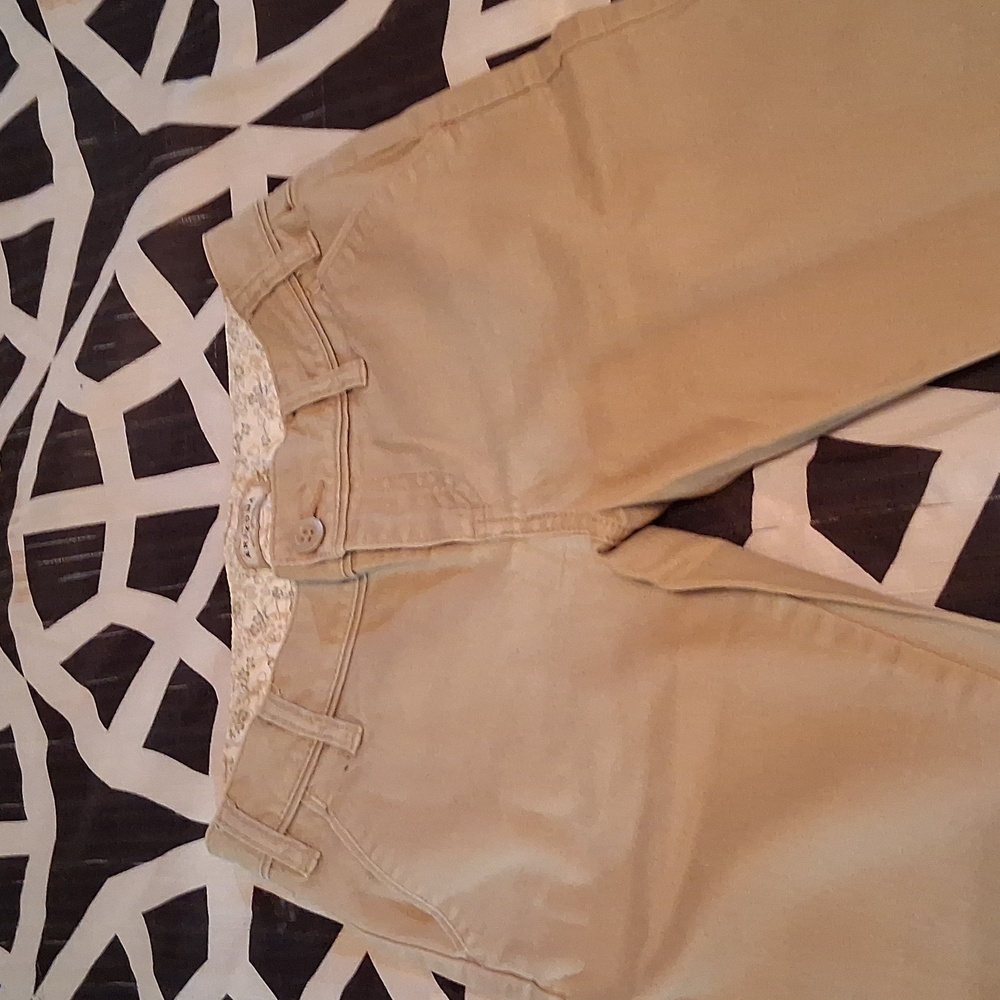 Tan Casual Pants